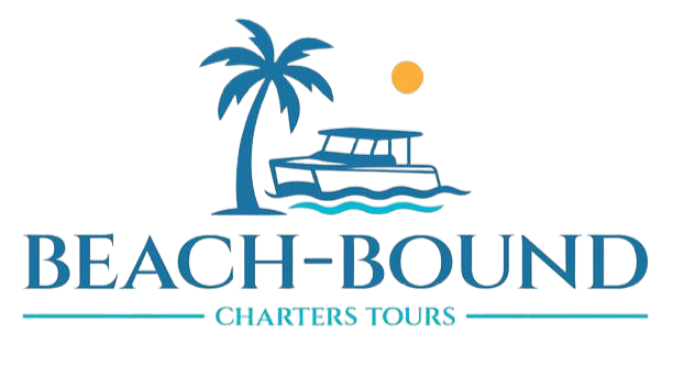 82cb5598 7102 4e94 8751 fa1ab642d779