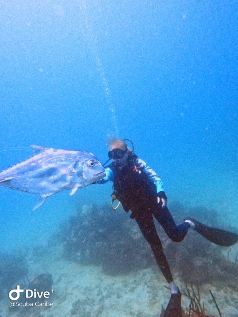 Photo 2025 09 22 15 31 34 3