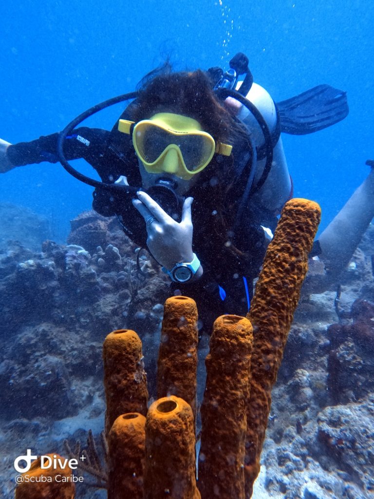 Photo 2025 09 22 15 31 35