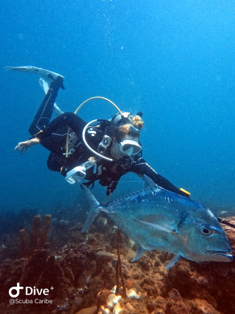 08AAD734 0B5A 46BC 99B9 F9D54941A57D