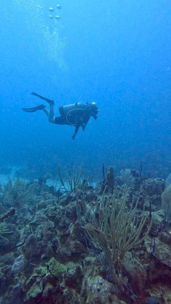 3D9B75AA 4A76 45D7 90B3 7942235317FD